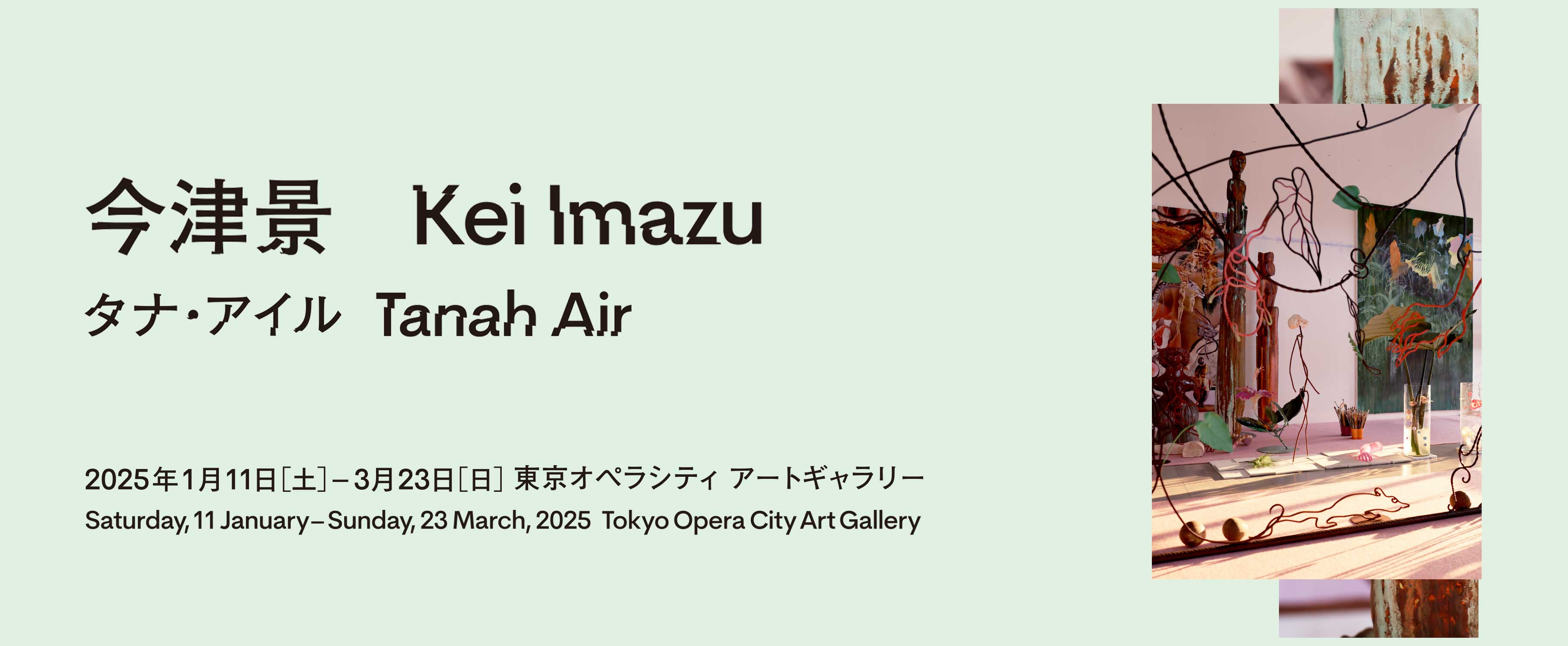 今津景　タナ・アイル　2025年1月11日［土］─ 3月23日［日］