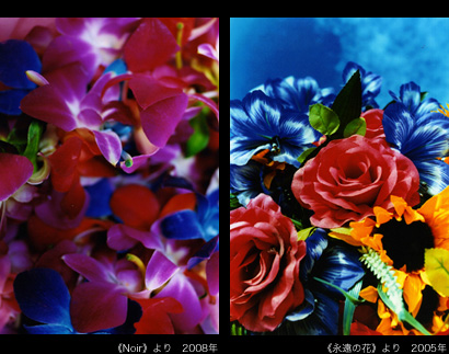 Mika Ninagawa—Earthly Flowers, Heavenly Colors：Introduction